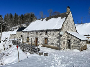 Maison de campagne spacieuse à Chastreix avec cheminée